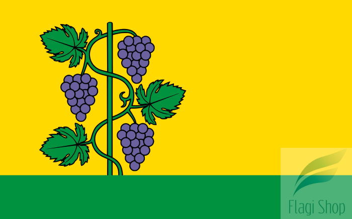 POL_gmina_Zbrosławice_flag.svg.png