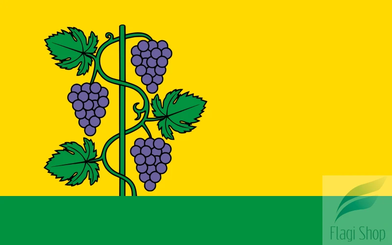 POL_gmina_Zbrosławice_flag.svg.png
