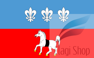 POL_gmina_Krasocin_flag.svg.png