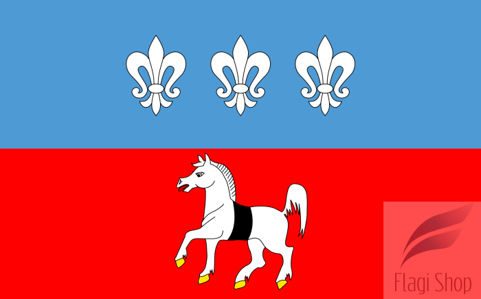 POL_gmina_Krasocin_flag.svg.png