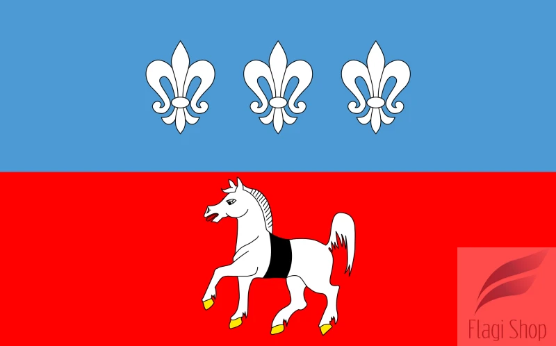 POL_gmina_Krasocin_flag.svg.png