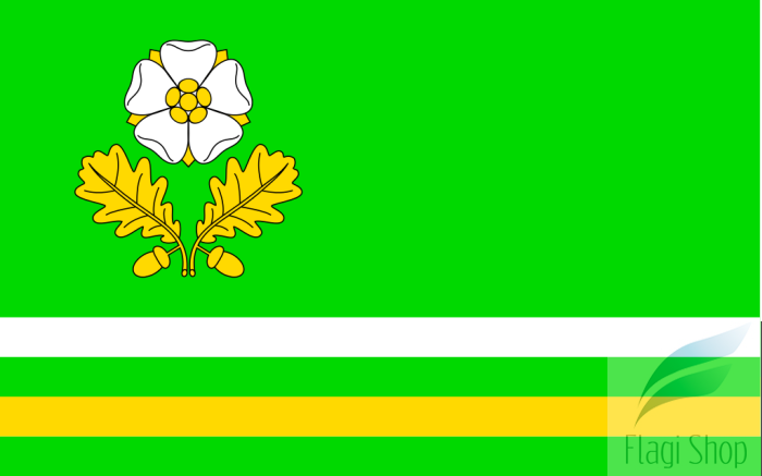 POL_gmina_Dąbrowa_Zielona_flag.svg.png