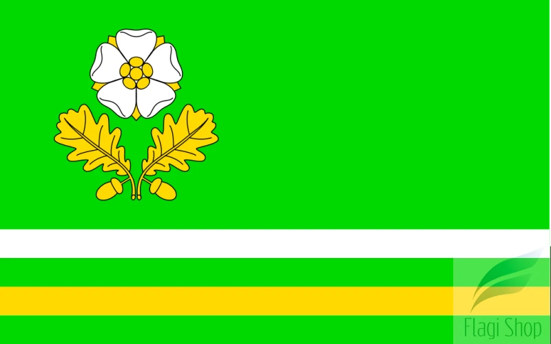 POL_gmina_Dąbrowa_Zielona_flag.svg.png