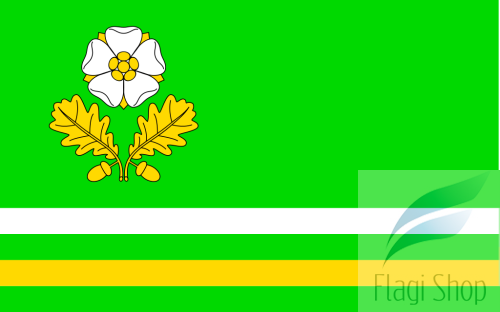 POL_gmina_Dąbrowa_Zielona_flag.svg.png