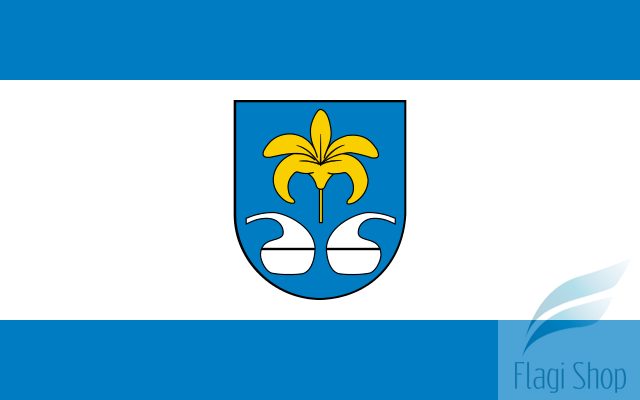 POL_Nowa_Sarzyna_flag.svg.png