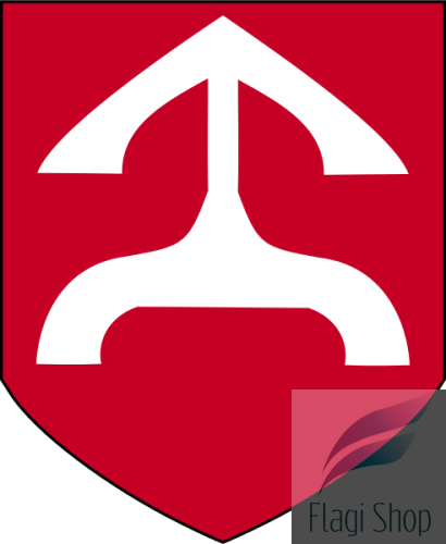 POL_Oleszyce_COA.svg.png