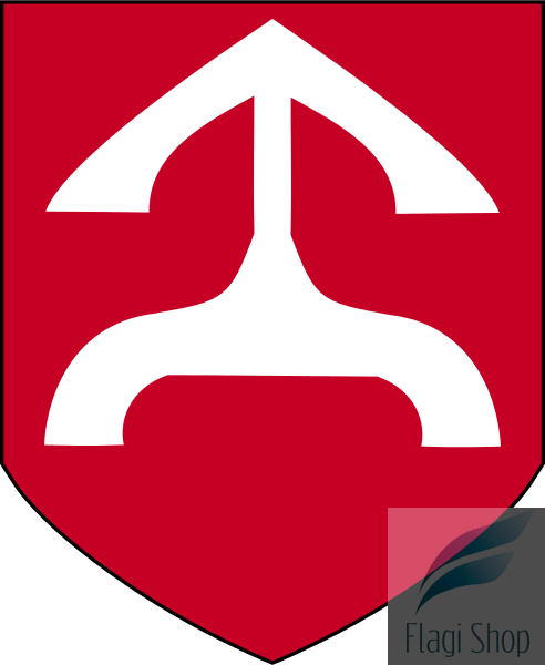 POL_Oleszyce_COA.svg.png