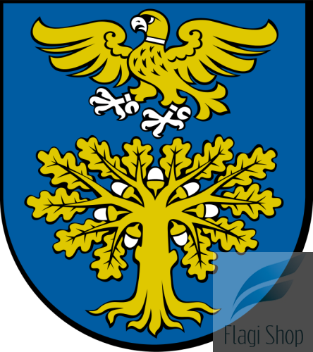 POL_Sokołów_Małopolski_COA.svg.png