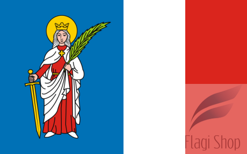 POL_Tyczyn_flag.svg.png