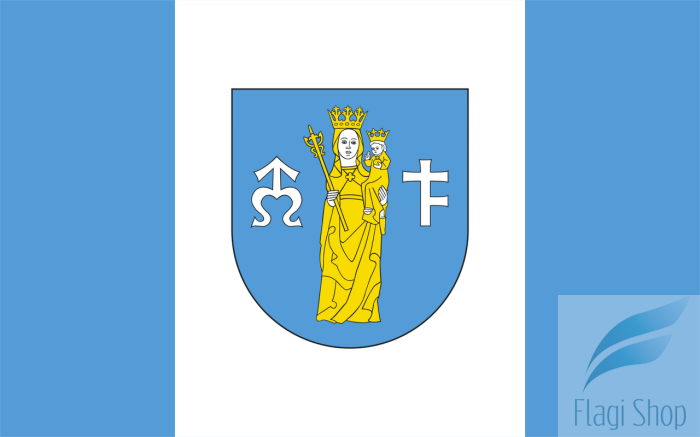 POL_gmina_Nowy_Targ_flag.png