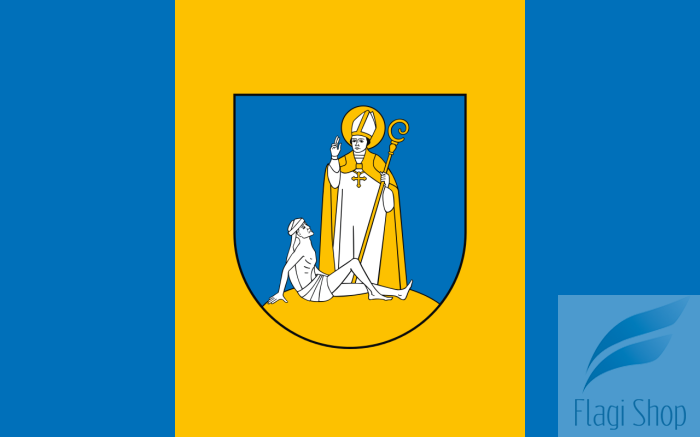 POL_gmina_Raba_Wyżna_flag.svg.png