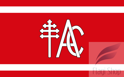 POL_gmina_Andrzejewo_flag.svg.png