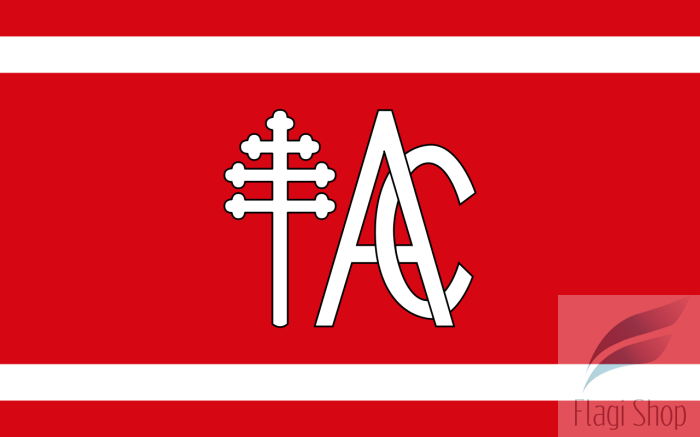 POL_gmina_Andrzejewo_flag.svg.png