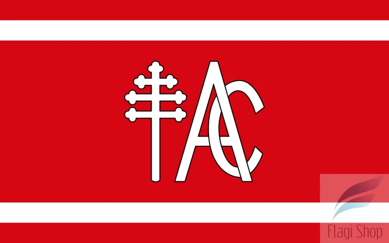 POL_gmina_Andrzejewo_flag.svg.png