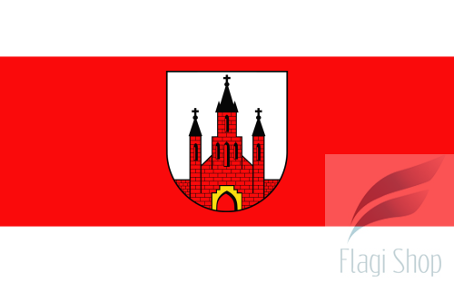 POL_Baboszewo_flag.svg.png