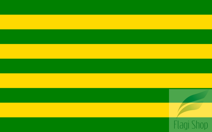 POL_gmina_Baranowo_flag.svg.png