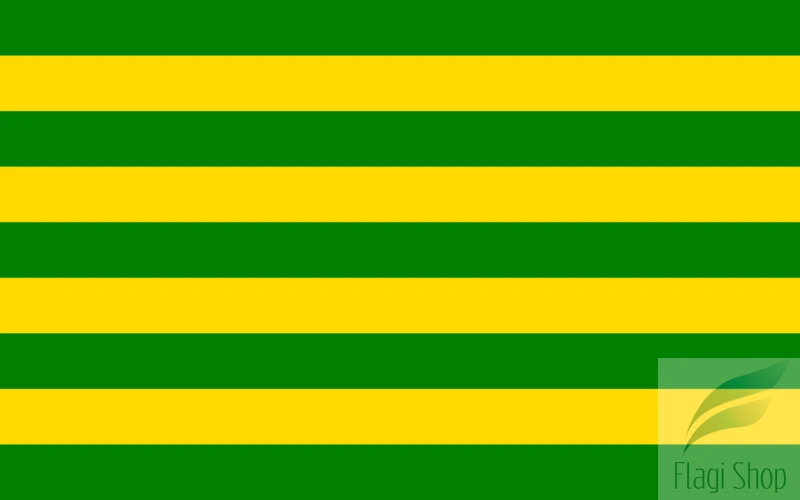 POL_gmina_Baranowo_flag.svg.png