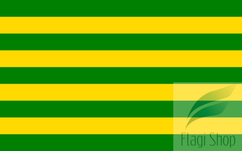 POL_gmina_Baranowo_flag.svg.png