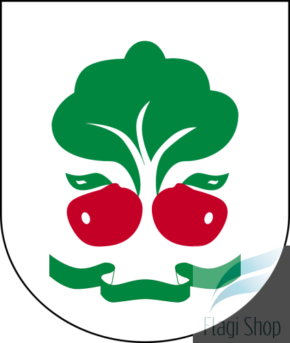 800px-POL_gmina_Belsk_Duży_COA.svg.png