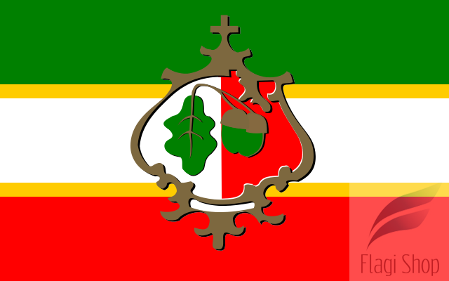 POL_gmina_Żołynia_flag.svg.png