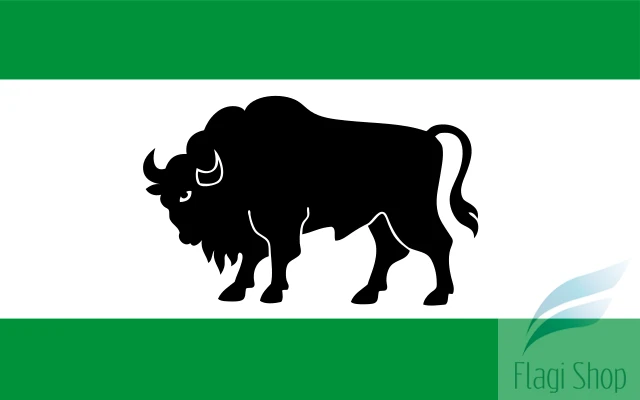 640px-POL_gmina_Hajnówka_flag.svg.png