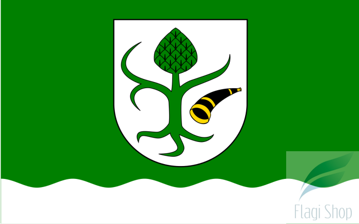 POL_Chorzele_flag.svg.png