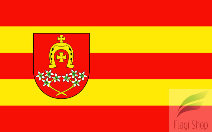 POL_gmina_Czerwin_flag.svg.png