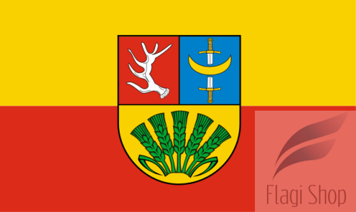 POL_gmina_Troszyn_flag.svg.png
