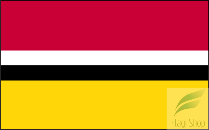 Gmina_raszyn_flaga.svg.png