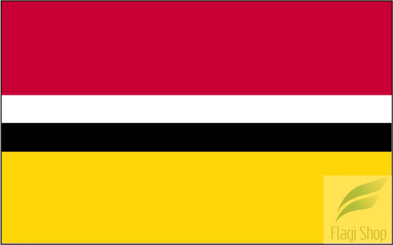 Gmina_raszyn_flaga.svg.png