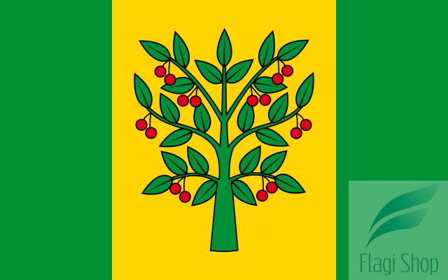 POL_gmina_Wiśniew_flag.svg.png