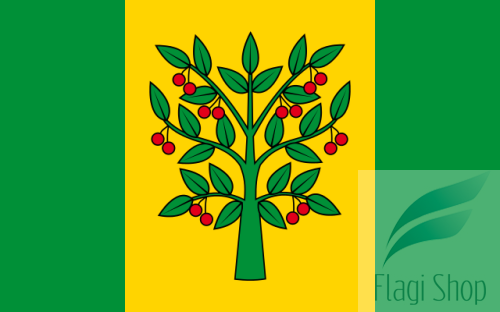 POL_gmina_Wiśniew_flag.svg.png