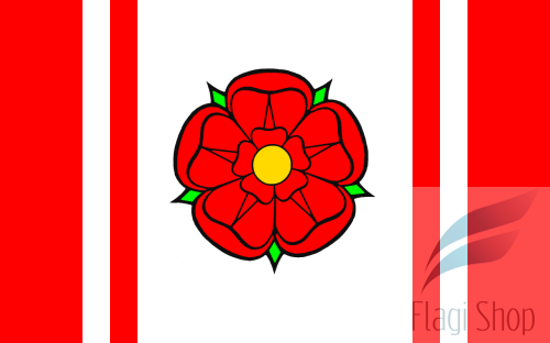 POL_gmina_Sochocin_flag.svg.png