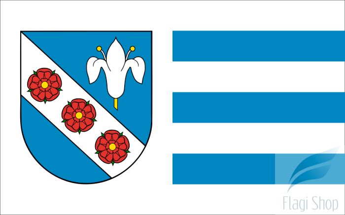 POL_gmina_Stara_Błotnica_flag.svg.png