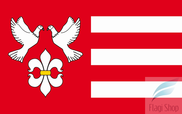 POL_gmina_Świercze_flag.png