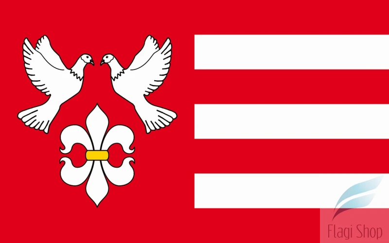 POL_gmina_Świercze_flag.png