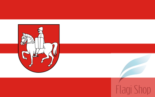 POL_gmina_Mały_Płock_flag.svg.png