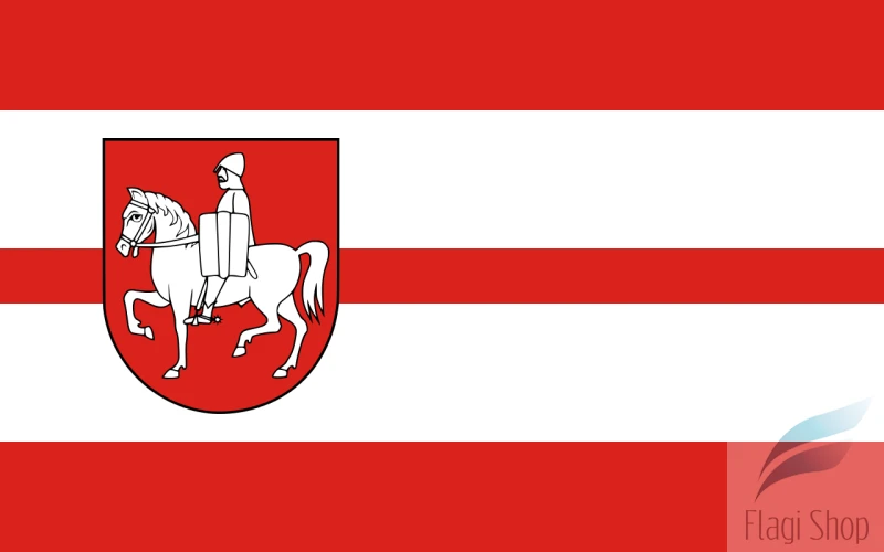 POL_gmina_Mały_Płock_flag.svg.png