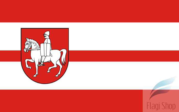 POL_gmina_Mały_Płock_flag.svg.png