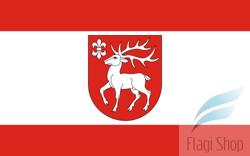 POL_gmina_Sejny_flag.svg.png