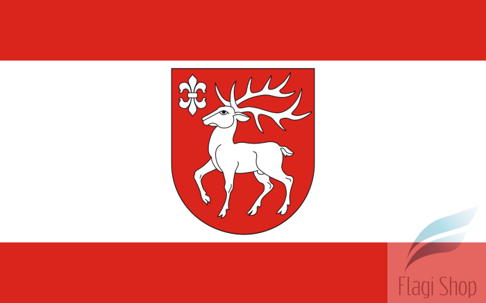 POL_gmina_Sejny_flag.svg.png