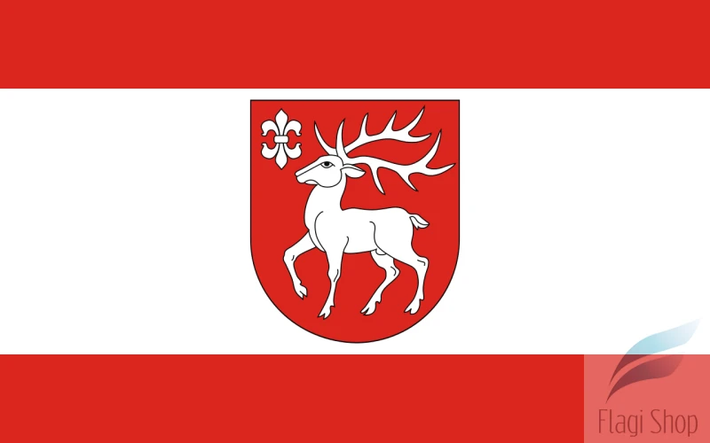 POL_gmina_Sejny_flag.svg.png