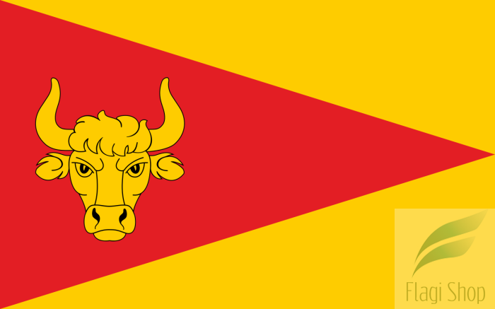 1280px-POL_Tykocin_flag.svg.png