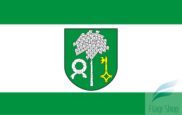 800px-POL_gmina_Głowaczów_flag.svg.png
