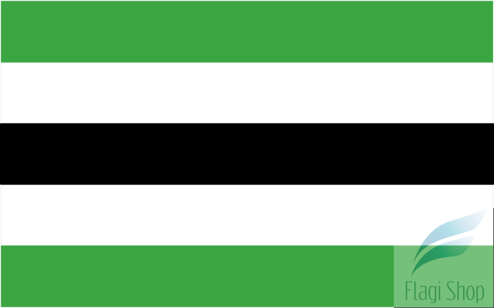 POL_gmina_Zambrów_flag.svg.png