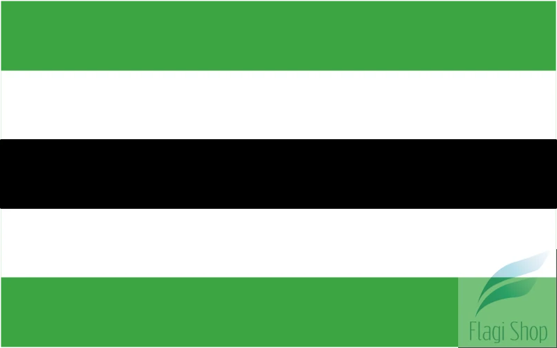 POL_gmina_Zambrów_flag.svg.png