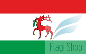 1280px-POL_Dobre_Miasto_flag.svg.png