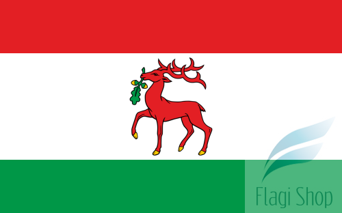 1280px-POL_Dobre_Miasto_flag.svg.png