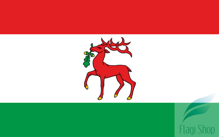 1280px-POL_Dobre_Miasto_flag.svg.png