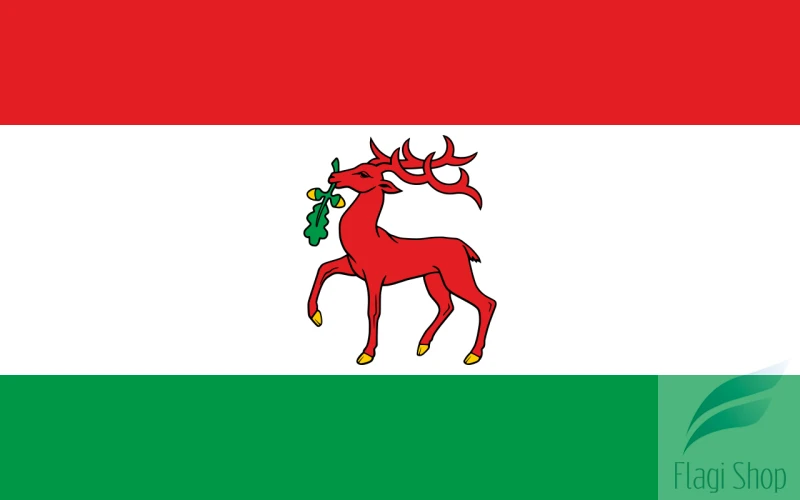 1280px-POL_Dobre_Miasto_flag.svg.png